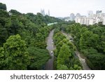 Southern Ridges Singapore, urban road roadway motorway through green forest jungle, landscape design environmental impact, engineering cityscape city town planning