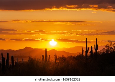 Southwest Sunset Over Saguaro Cactus Silhouette 