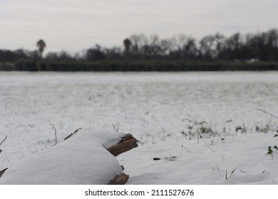 Southwest Texas Snowstorm Feb 2021