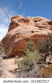 Southwestern Landscape With Rock Formations