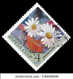 SOVIET UNION - CIRCA 1970 : Cancelled Postage Stamp Printed By Soviet Union, That Shows Camomile Flower, Circa 1970.