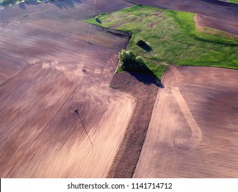 sowed cultivated spring time agriculture field, aerial view