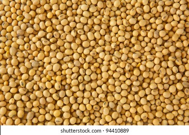 Soy Bean Pattern As Background