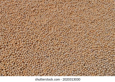 Soy Bean Pattern, The Food And Drink