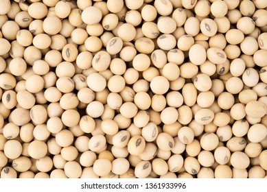 Soy Bean Soya Background Top View Stock Photo 1361933996 | Shutterstock