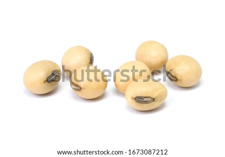 Soy beans isolated on white background. macro