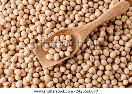 soy beans on white background