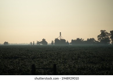 Soybean Field With Animal Feed Factory.