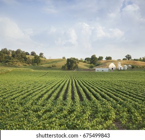 1,084 Minnesota farm landscape Images, Stock Photos & Vectors ...