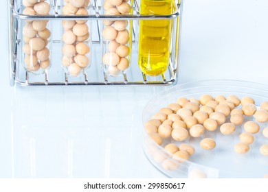 Soybean Genetically Modified Plant Cell Laboratory Stock Photo ...