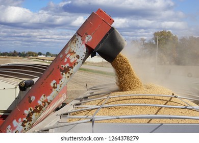 Soybean From Harvester To Grain Cart