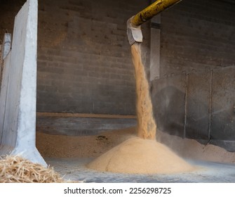 Soybean husk, animal feed, pouring out of tube on large pile of fodder in warehouse. - Shutterstock ID 2256298725