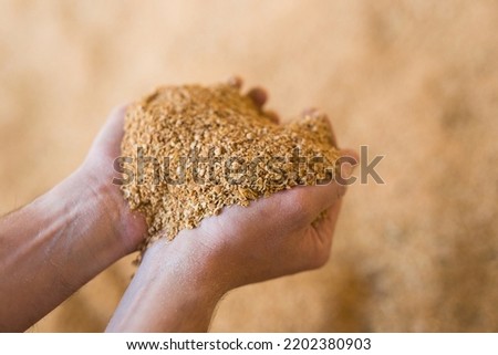 Soybean husk in farmer palms - animal feed close up