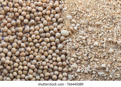 Soybean Meal And Soybean Seed