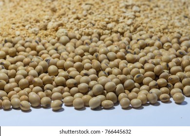 Soybean Meal And Soybean Seed