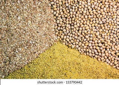 Soybean And Soybean Meal With Steamed Beans.