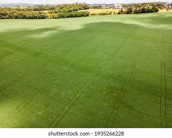 Soybean Plantation Aerial View In Rural Area.
