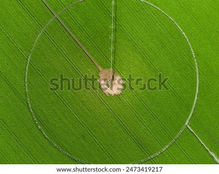 Image, Stock Photo From above of cropped faceless businesswoman writing on notepad at computer desk in office