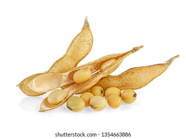 Soybean pods isolated on white background. Soya - protein plant for health food.