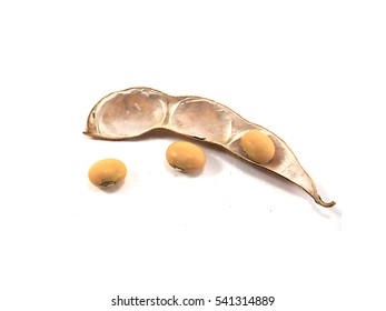 Soybean Pods Isolated Soybean Seeds Stock Photo 541314889 | Shutterstock