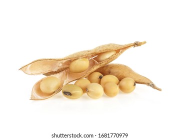 Soybean seeds and pods isolated on a white background