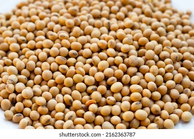 Soybean, Soy Is A High Quality Protein