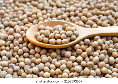 Soybean, Soy Is A High Quality Protein