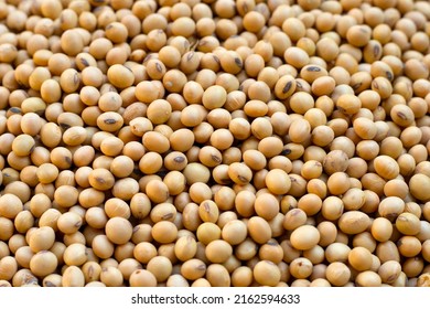 Soybean, Soy Is A High Quality Protein