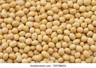 Soybean Texture Background Stock Photo 709788031 | Shutterstock