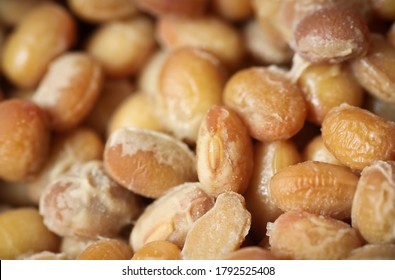 Soybeans fermented with bacillus subtilis var. natto for producing "natto" which is traditional Japanese food - Shutterstock ID 1792525408