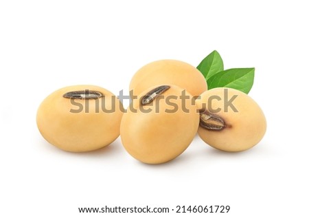 Soybeans  with green leaves  isolated on white background.