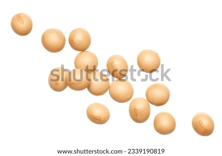Soybeans isolated - clipping path included