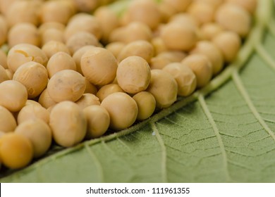 Soybeans on a green leaf