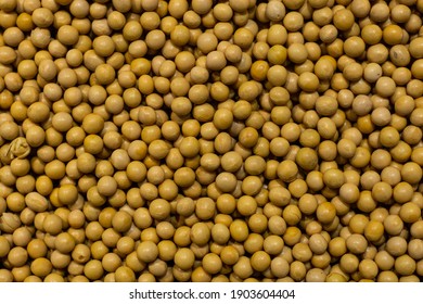 Soybeans Soy Milk Soy Supermarket Food Congee Beans Background Material