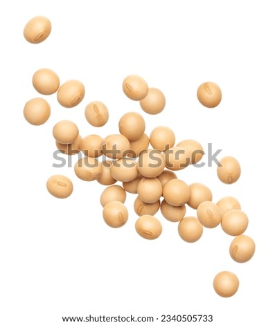 Soybeans splash isolated on white background                               