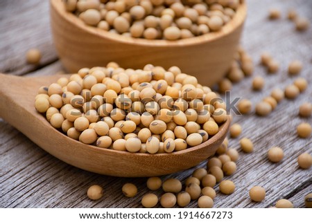 Soybeans in woodenspoon isolated on wooden table background. 