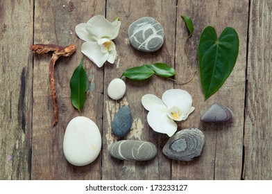 SPA background