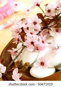 spa composition of stones and spring branch with pink flowers