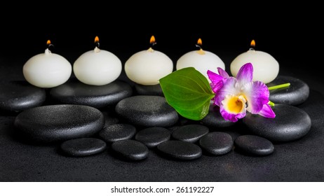 spa concept of orchid flower dendrobium, green leaf Calla lily and row candles on zen stones background with dew, panorama