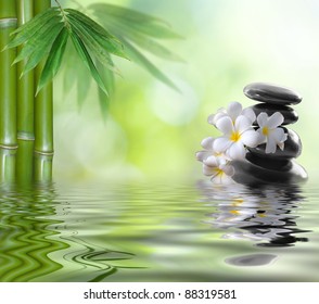 Stones Red Hibiscus Bamboo On Water Stock Photo 135199910 | Shutterstock