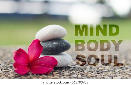 Spa concept of zen stones with deep ref plumeria flower. Word Mind body soul. - Shutterstock ID 565793785
