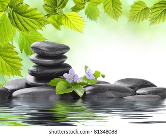 spa concept with zen stones and flower