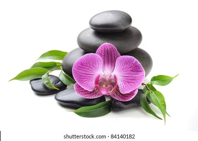 Spa Concept With Zen Stones And Orchid