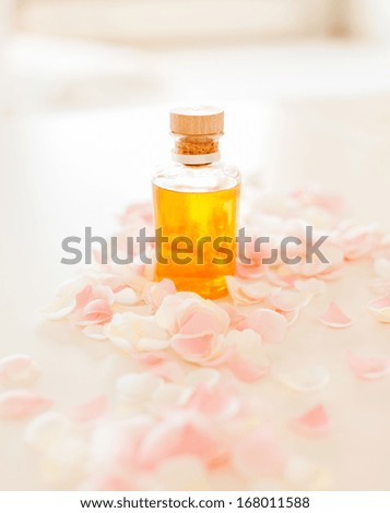 Similar – Image, Stock Photo Pink Rose Harmonious