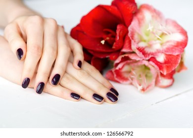 Spa manicure with red and white flowers closeup - Shutterstock ID 126566792