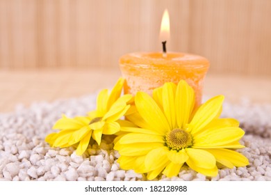 Sunflowers Spa Stock Photos Images Photography Shutterstock