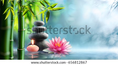 Spa - Natural Alternative Therapy With Massage Stones And Waterlily In Water
