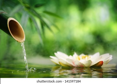 Spa still life with bamboo fountain and lotus