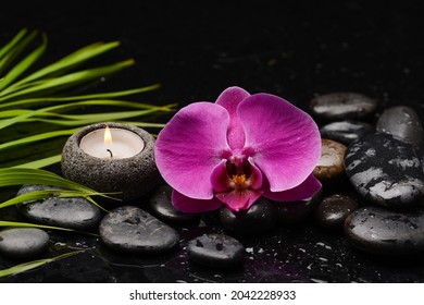 spa still life of macro of orchid close up with green palm, candle black zen stones, on wet background


