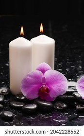 spa still life of macro of pink, white orchid close up ,candle with black zen stones, on wet background